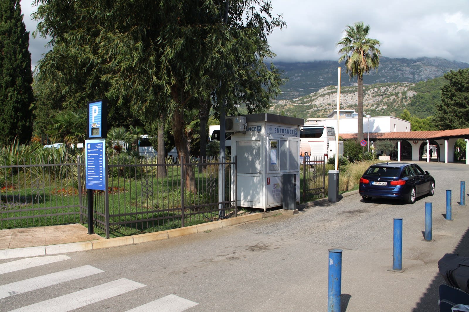 Paulownia Parking photo 5