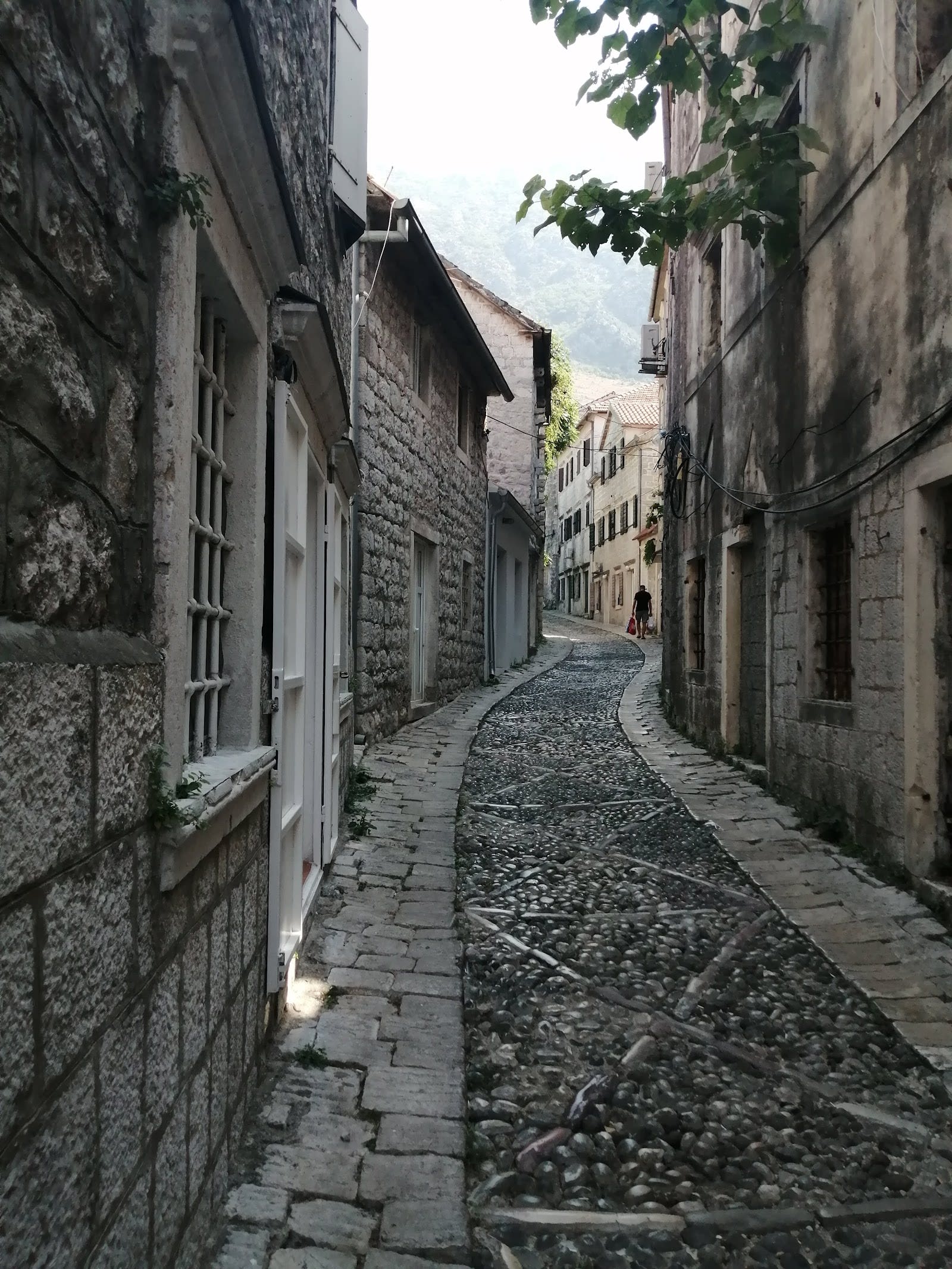 Rooms Banićević photo 1