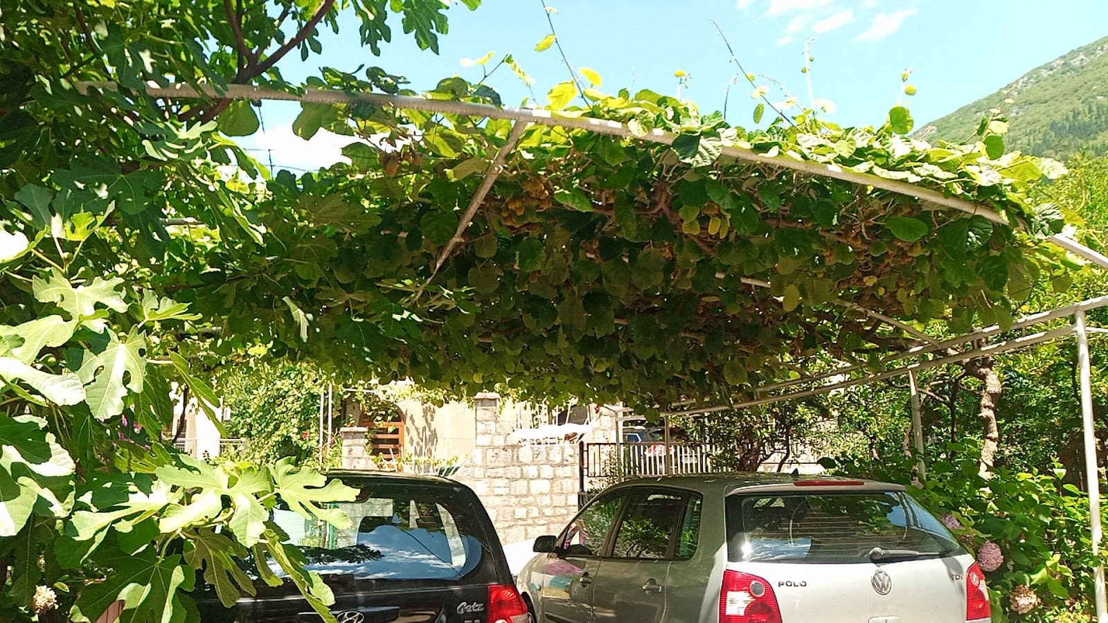 Rooms Banićević photo 3