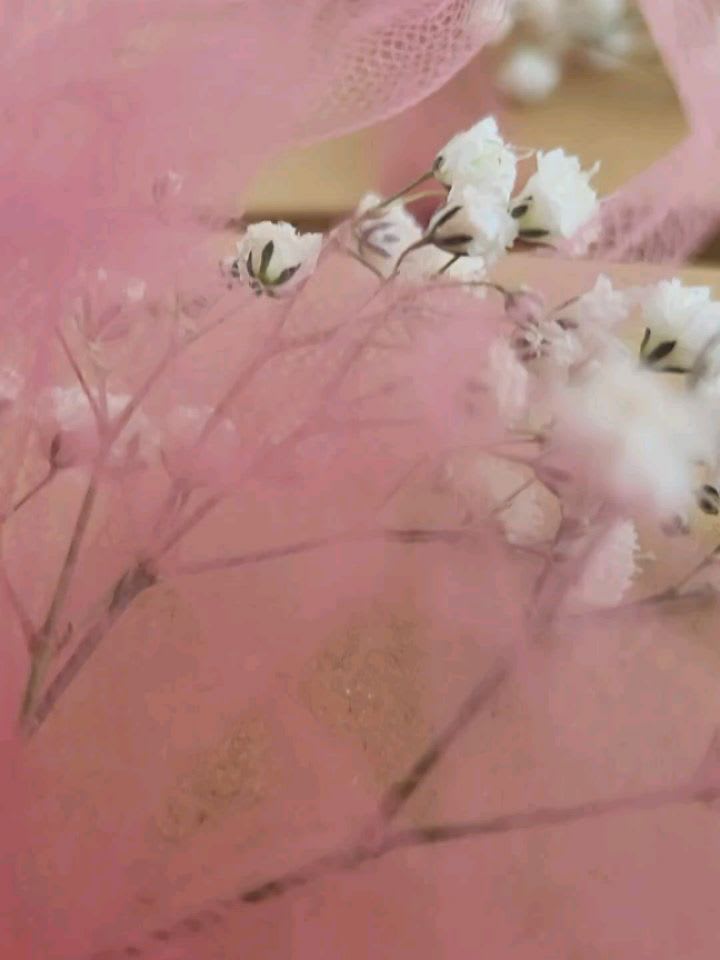 Ditto Handmade photo 6