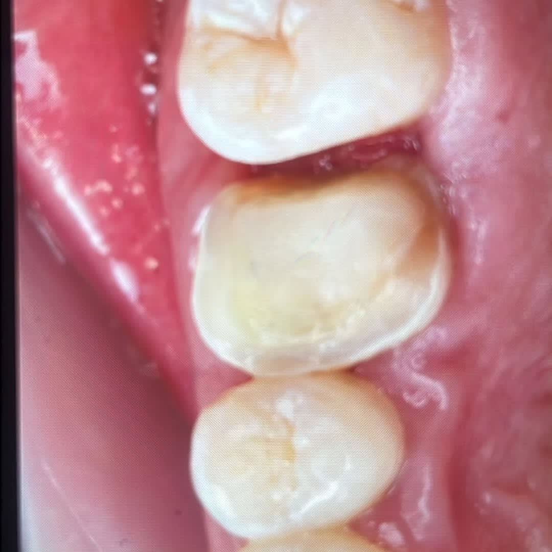 LS Dental photo 6