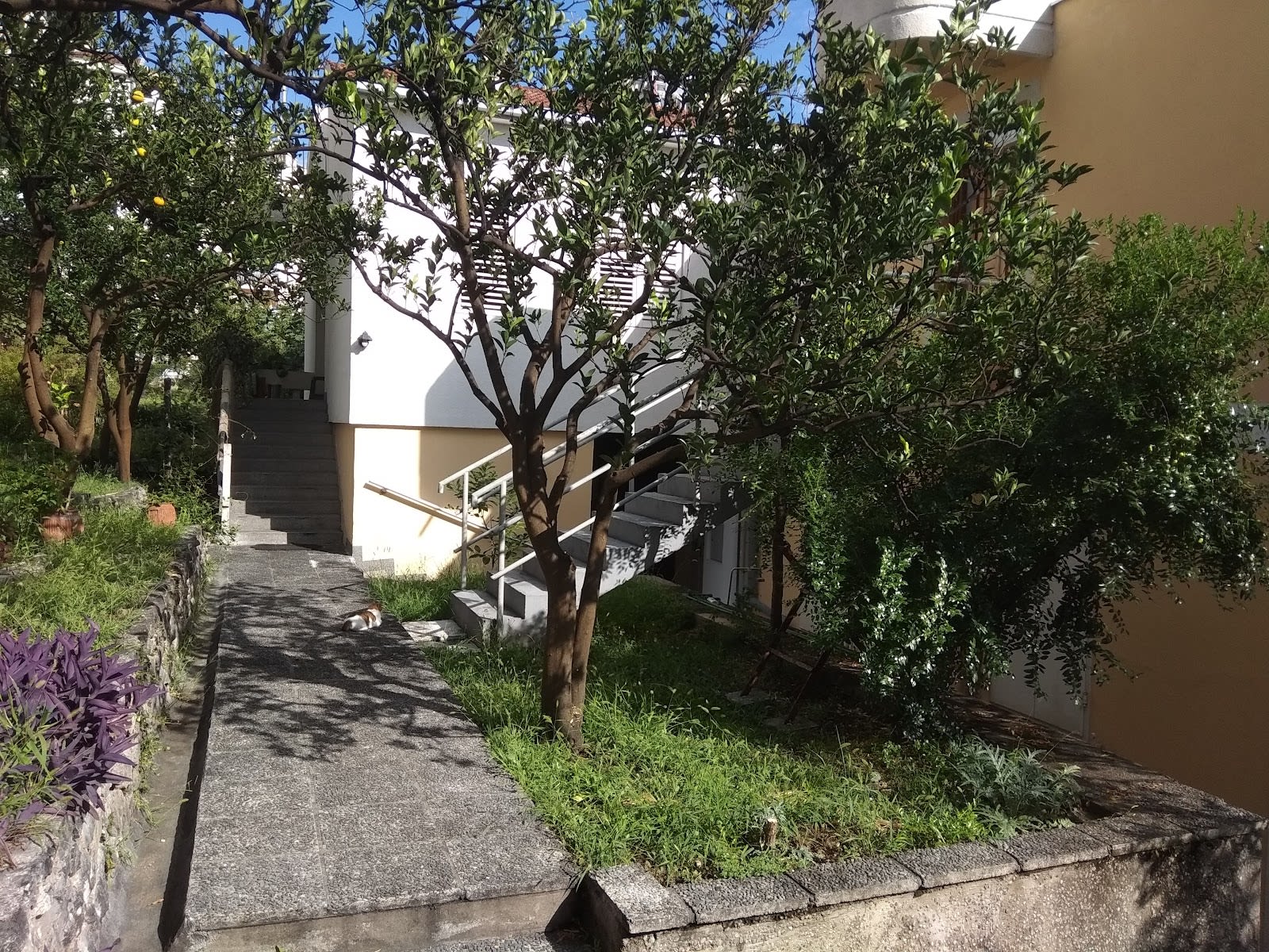 Apartman Topla photo 3