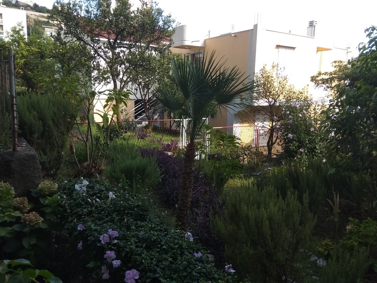 Apartman Topla photo 4