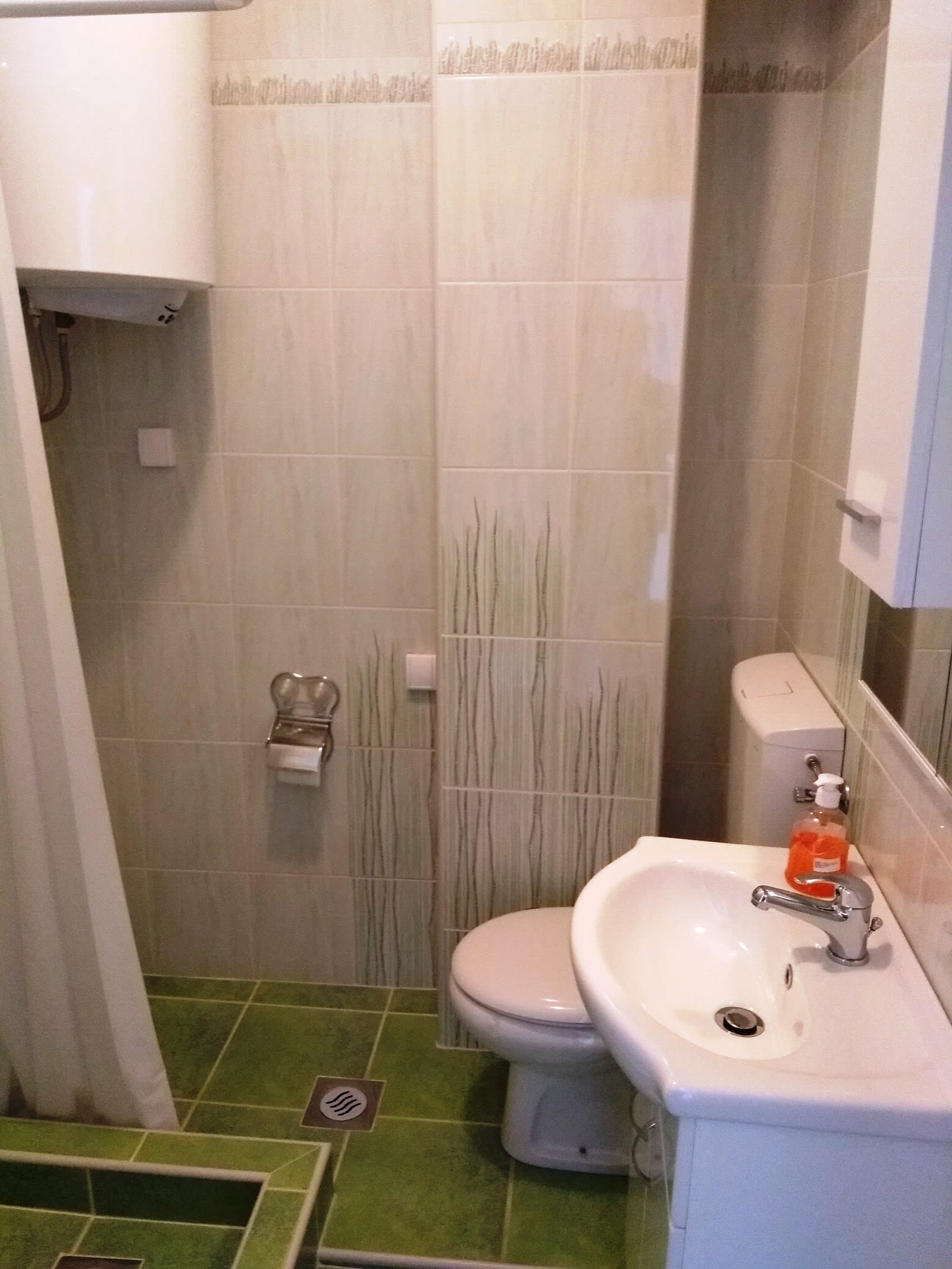 Apartman Topla photo 7