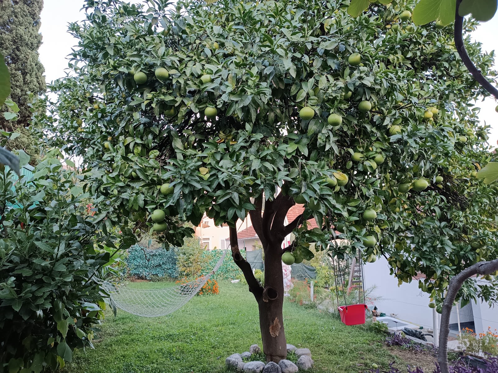 Apartmani Konjević photo 3