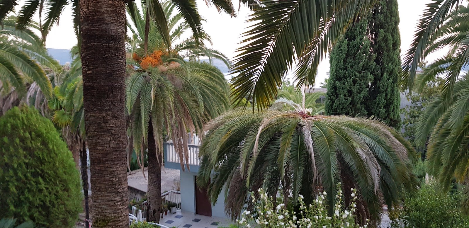 Guest House Goca photo 7