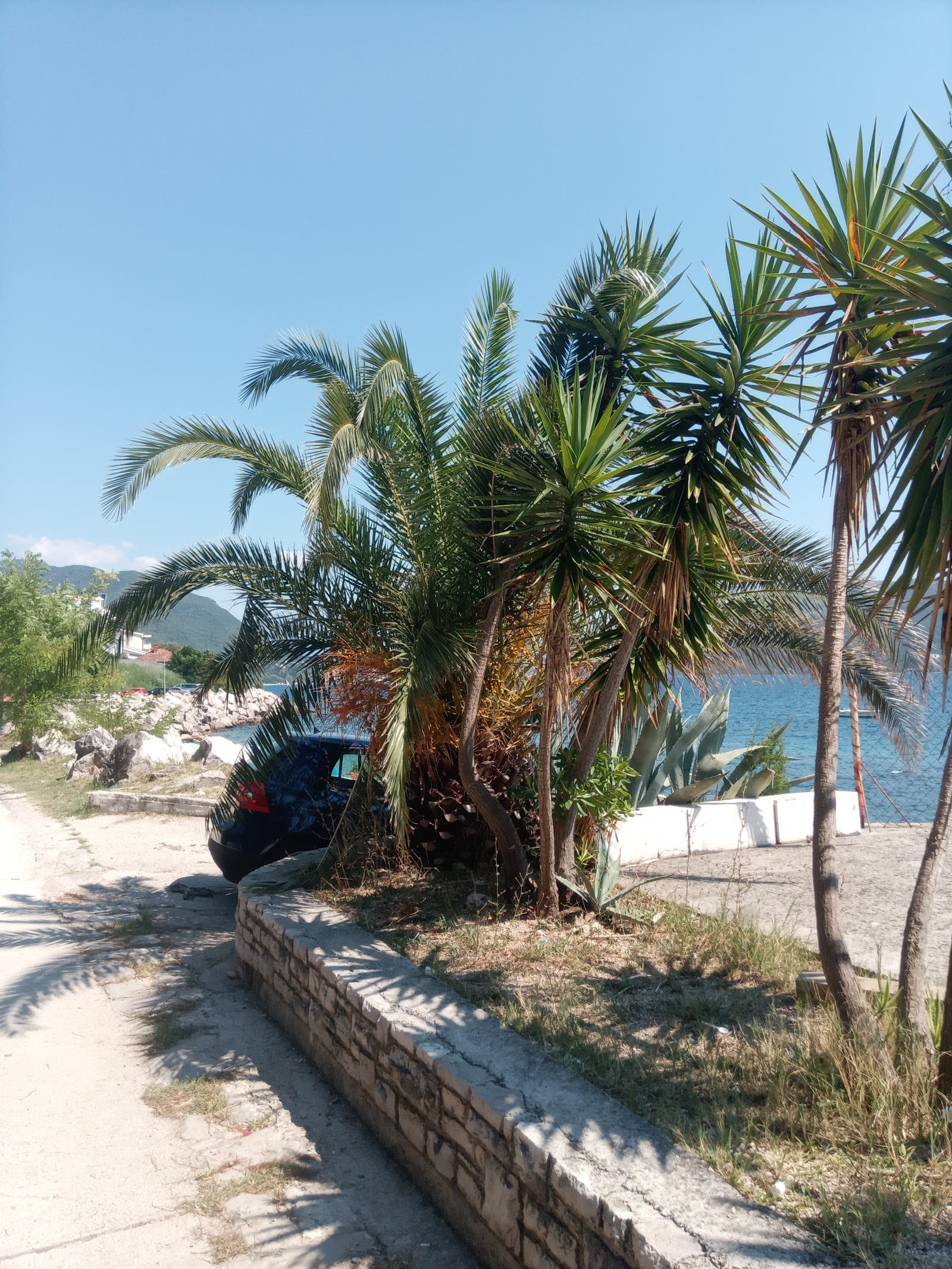 Savina Beach photo 8