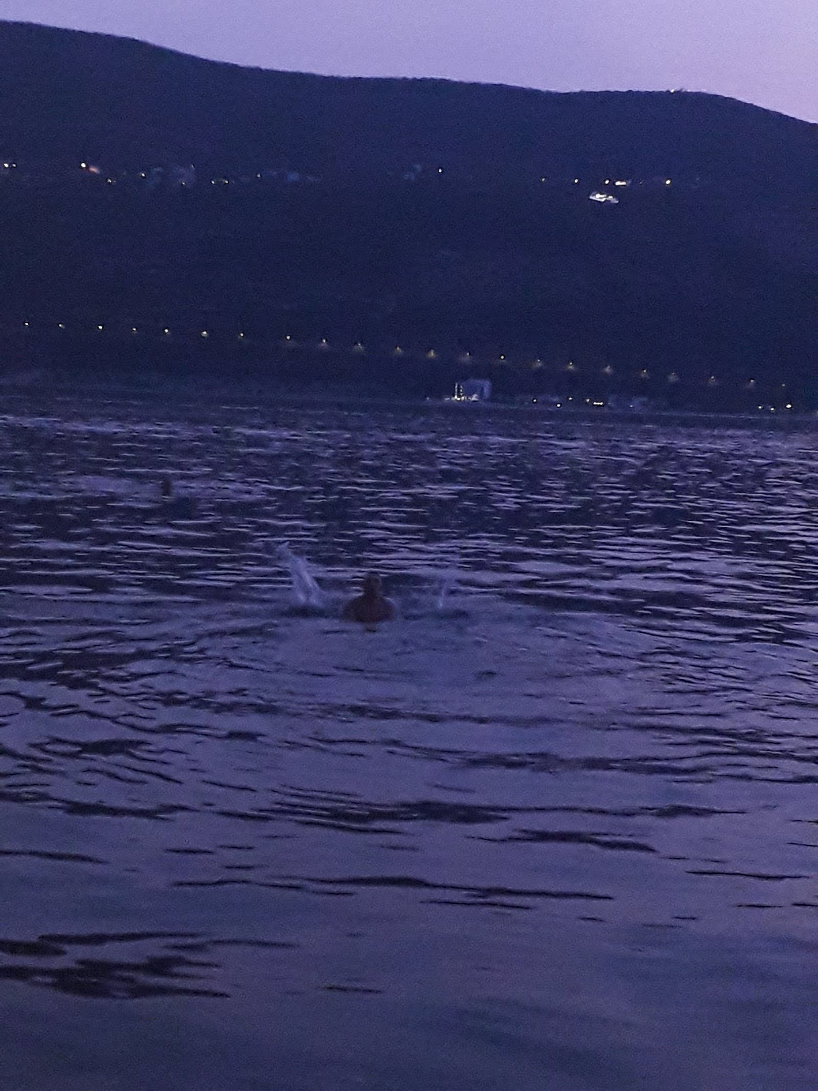Topla Beach photo 6