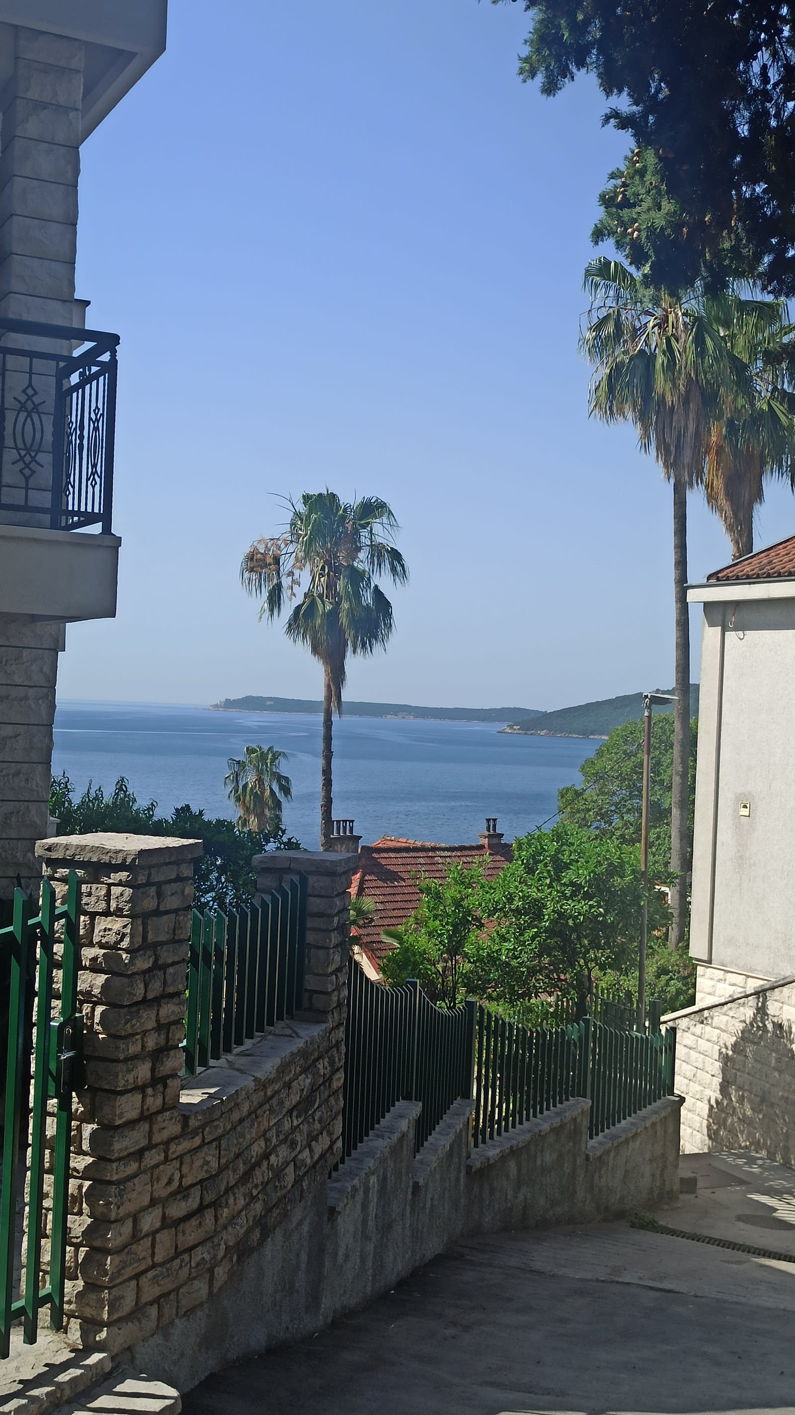 Vuksanovic Apartments photo 4