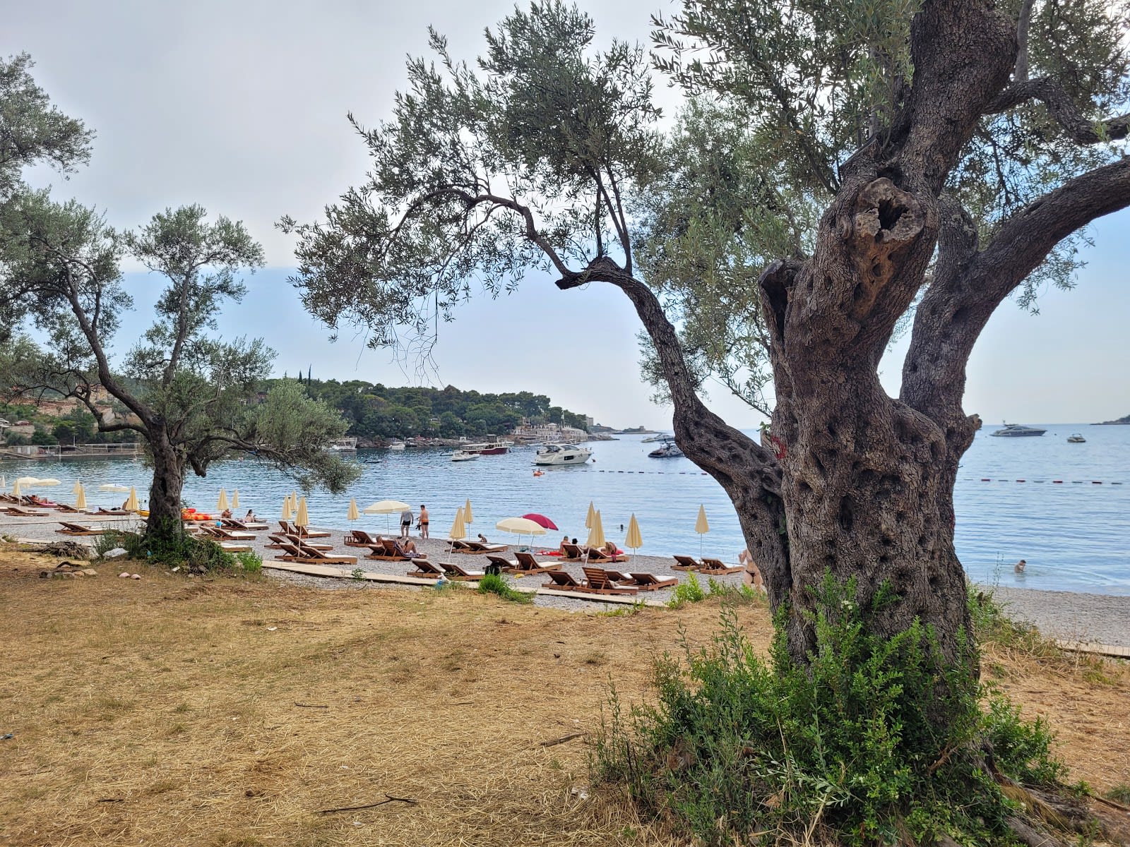 Žanjic Beach photo 8