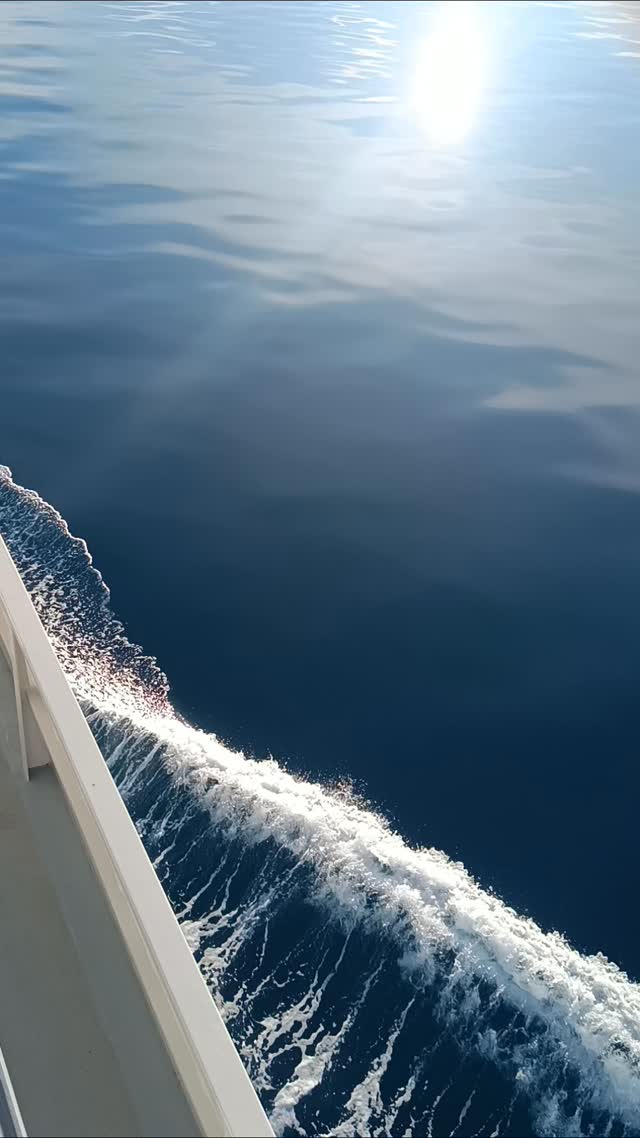Herceg Novi Boat Tour photo 7