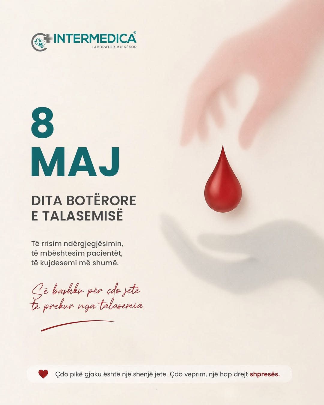Intermedica photo 8