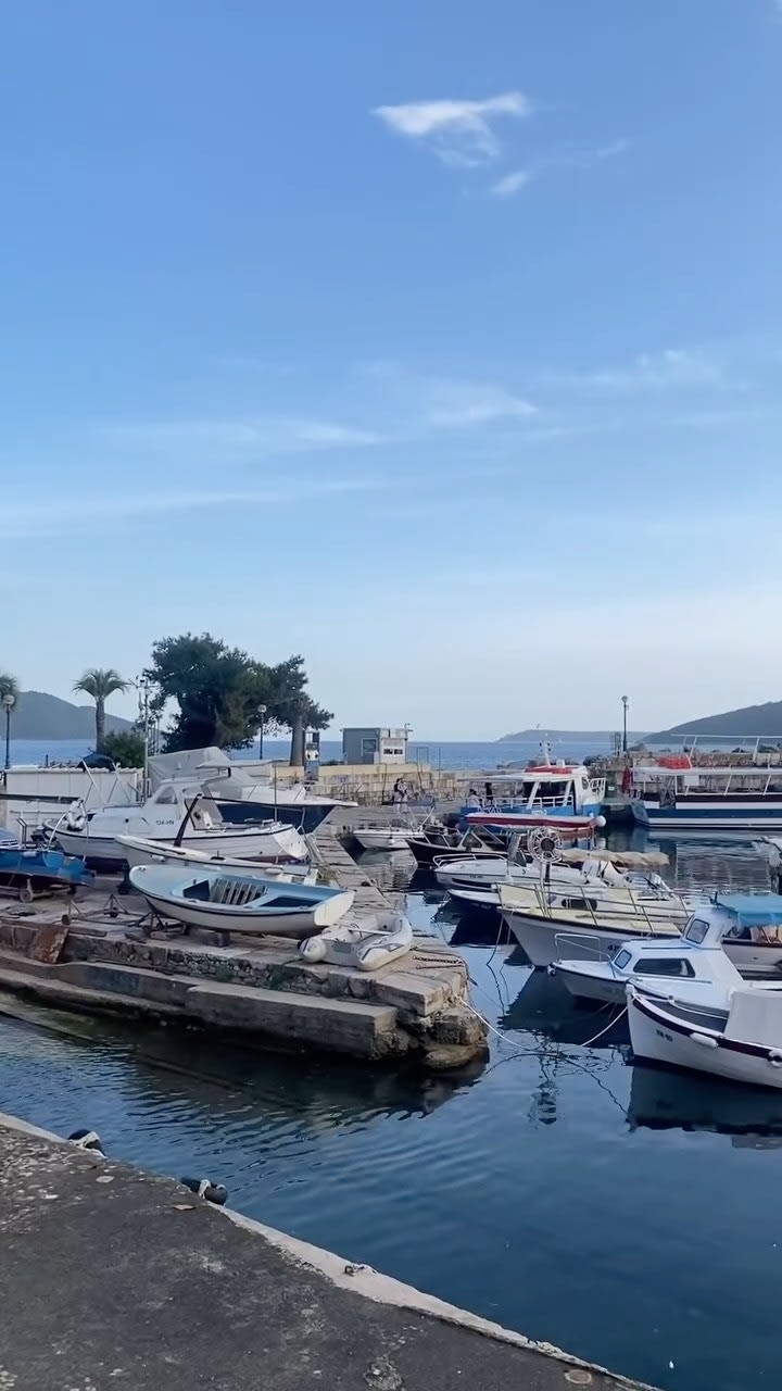 Star Herceg Novi Travel Agency photo 8