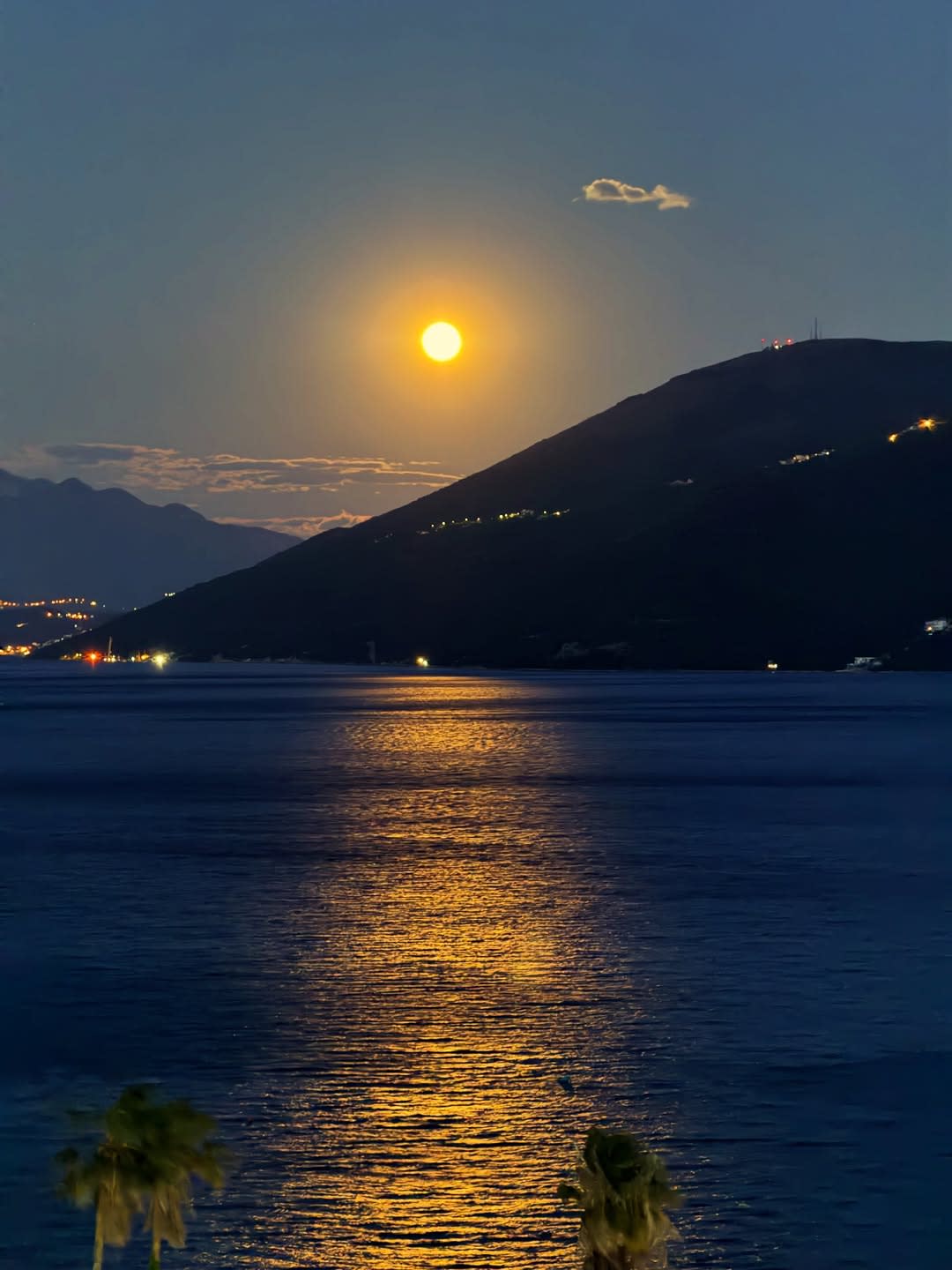 Star Herceg Novi Travel Agency photo 9