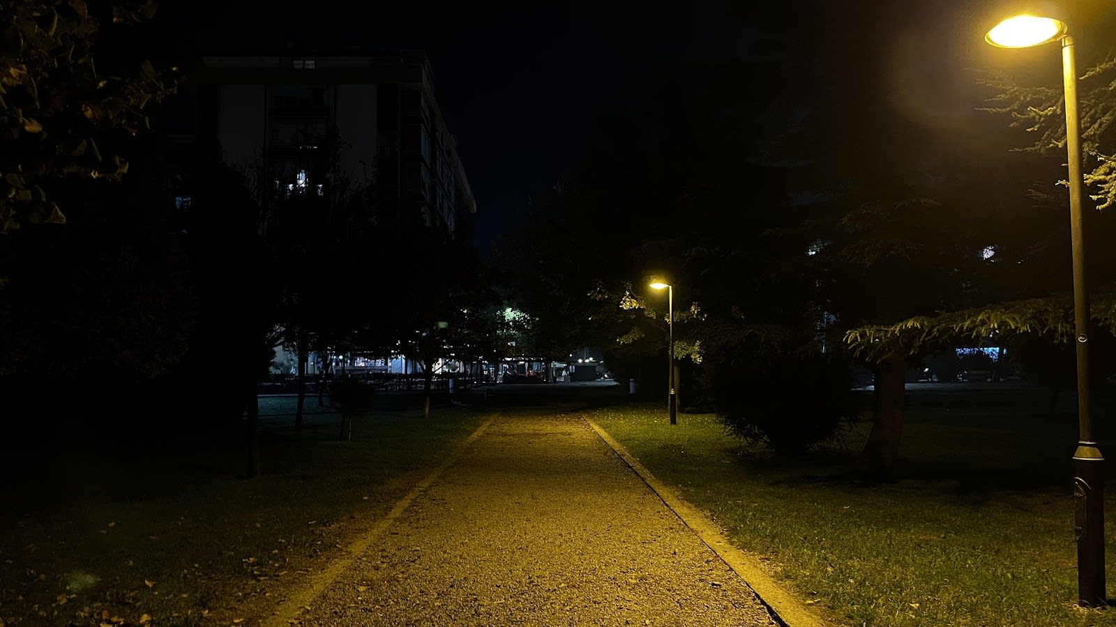 Zrno photo 9