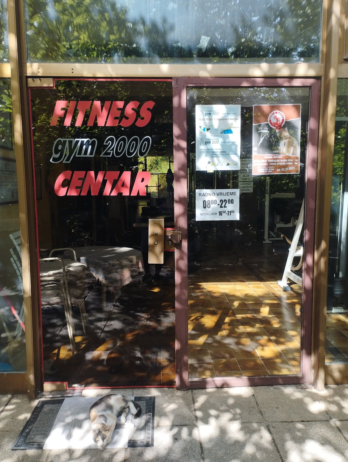 Gym 2000 photo 6