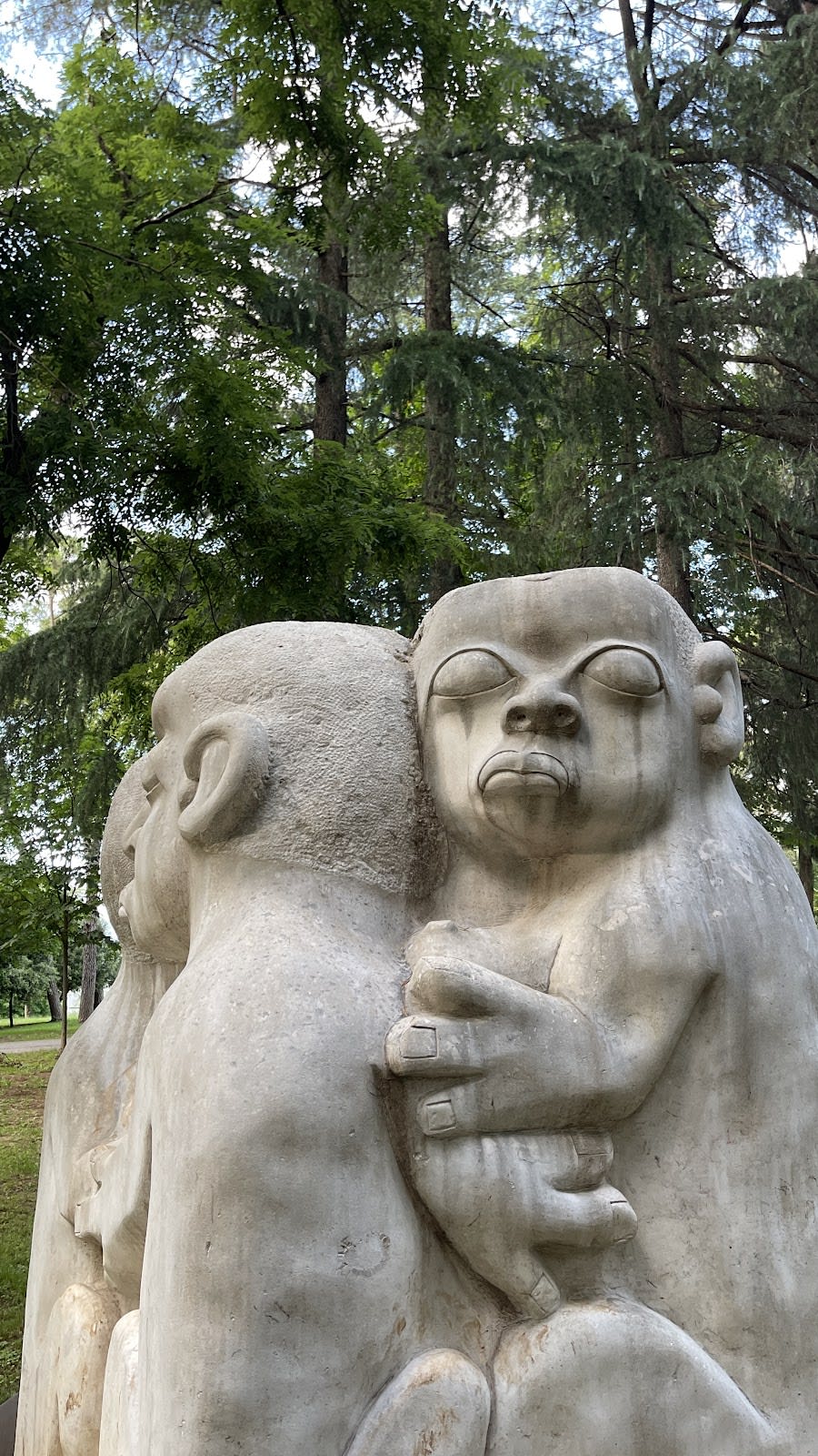 Petrovic Park photo 1