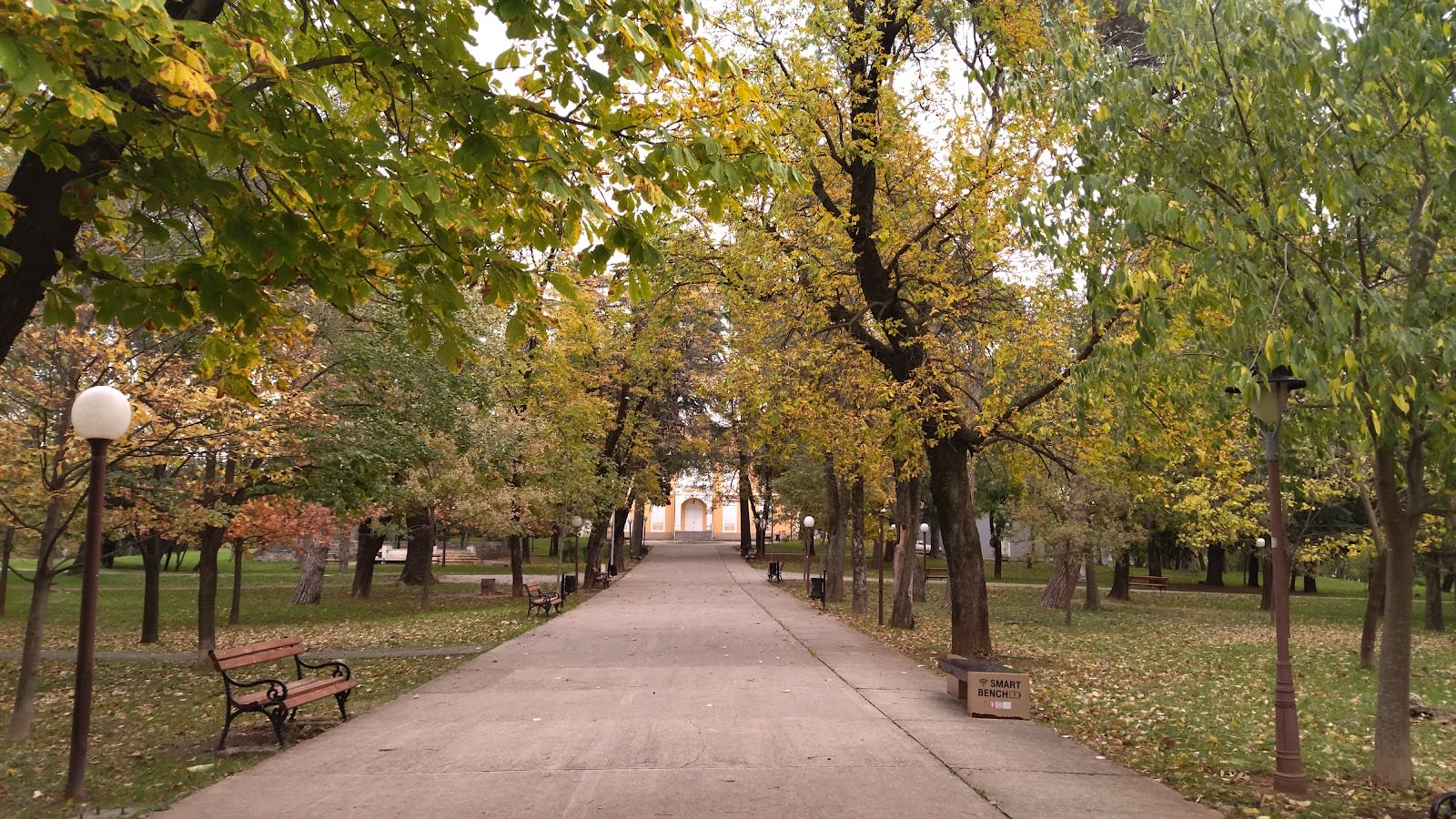 Petrovic Park photo 2