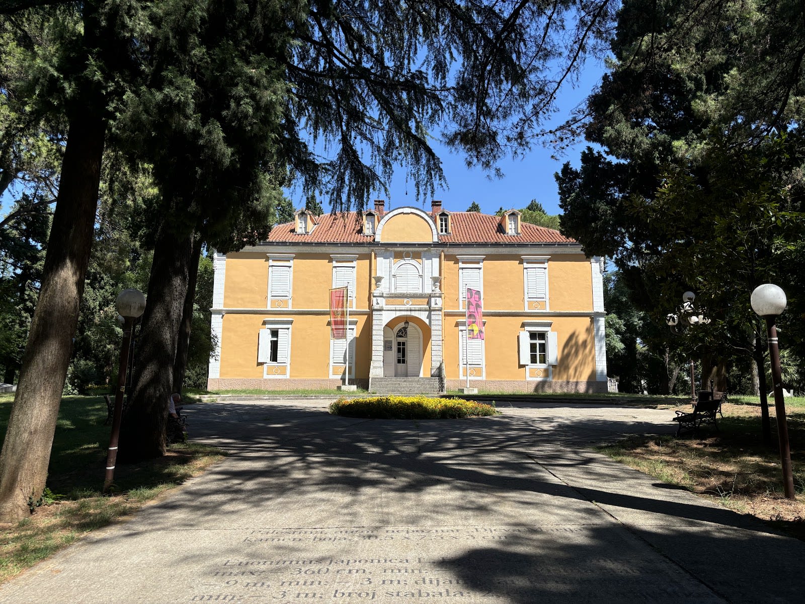 Petrovic Park photo 3