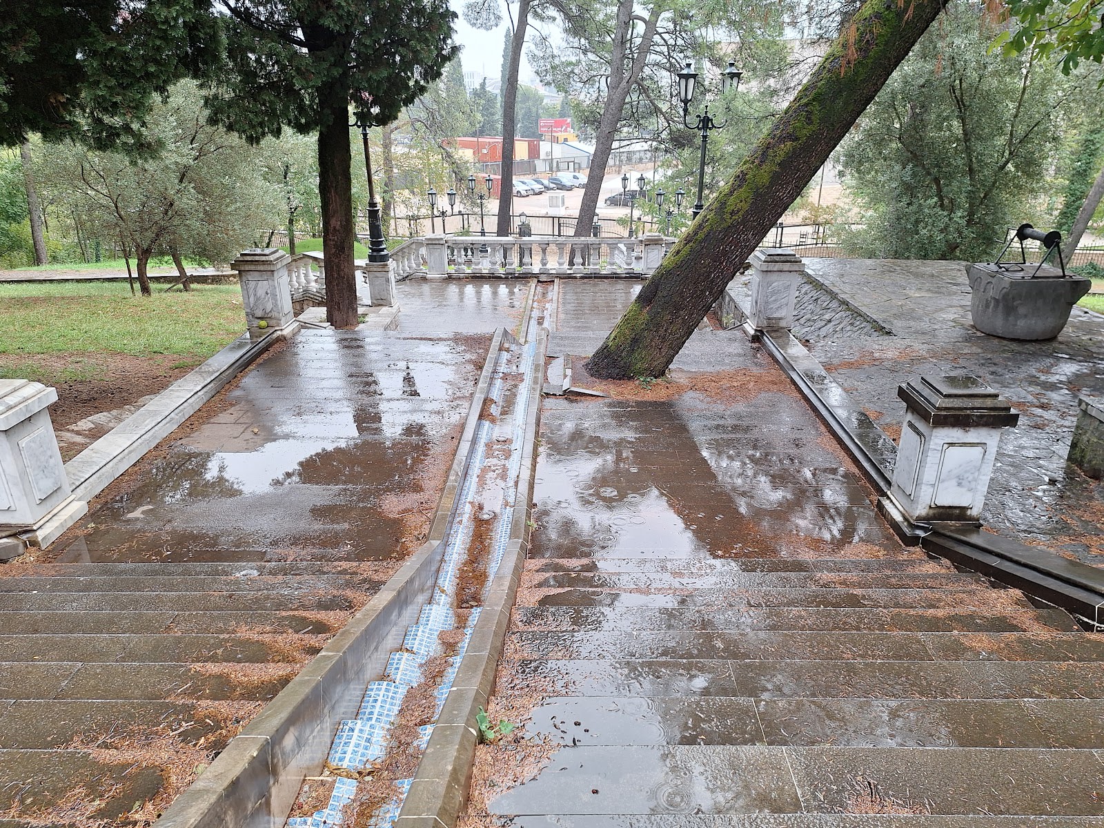 Petrovic Park photo 6