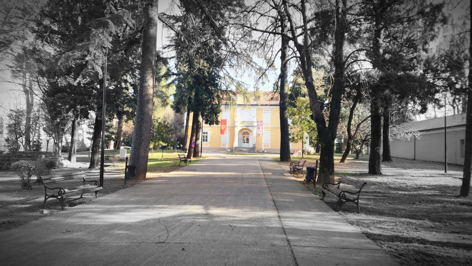 Petrovic Park photo 7