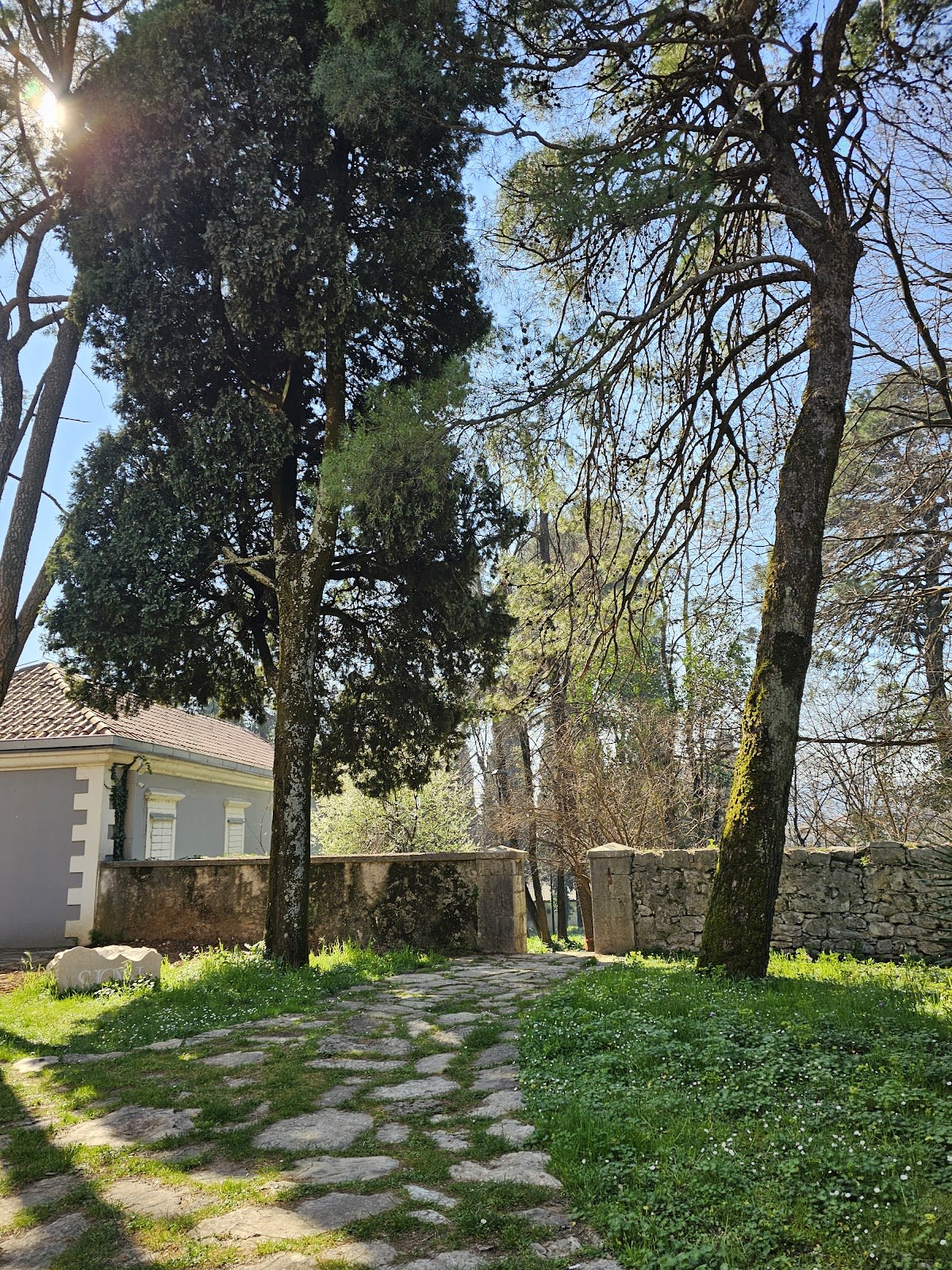 Petrovic Park photo 9