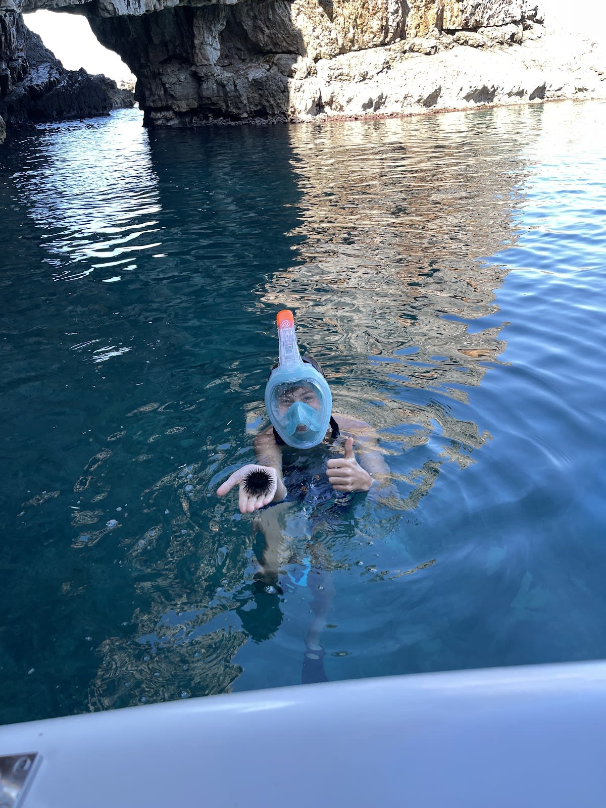 Speedboat Tours Tivat photo 5