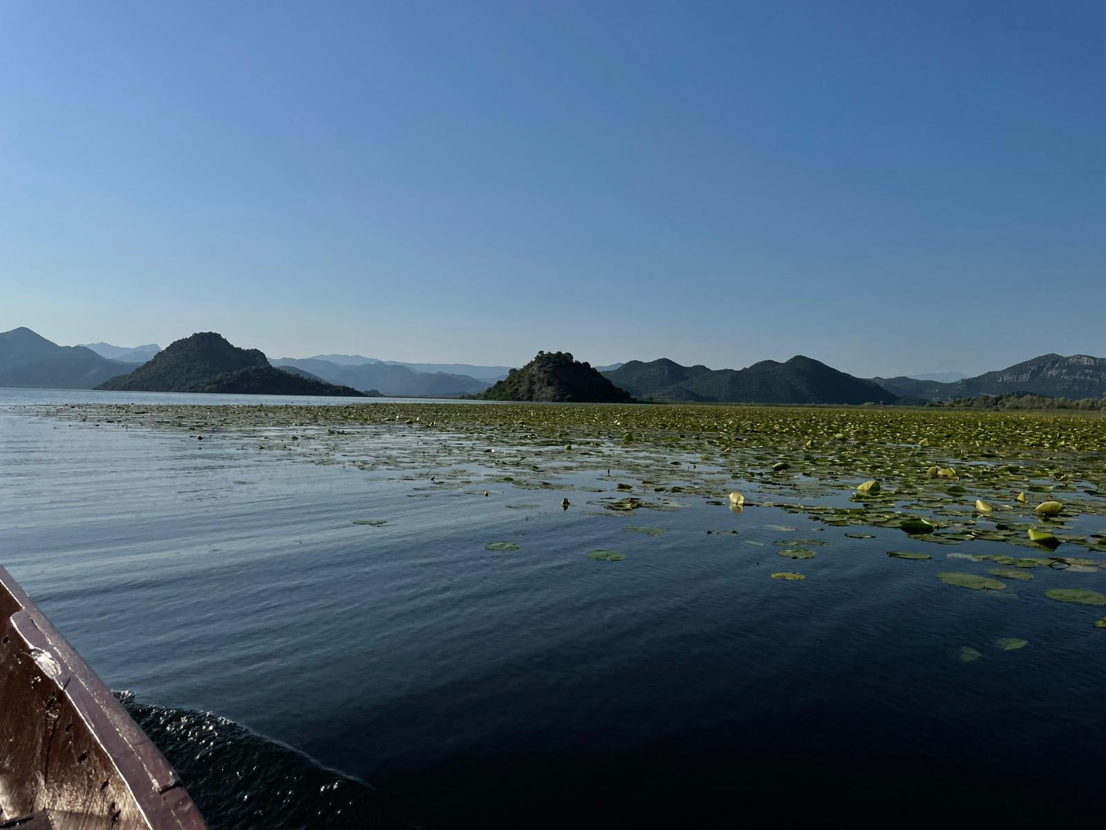 Traditional Boat Trip with Local Fisherman on Skadar Lake photo 3