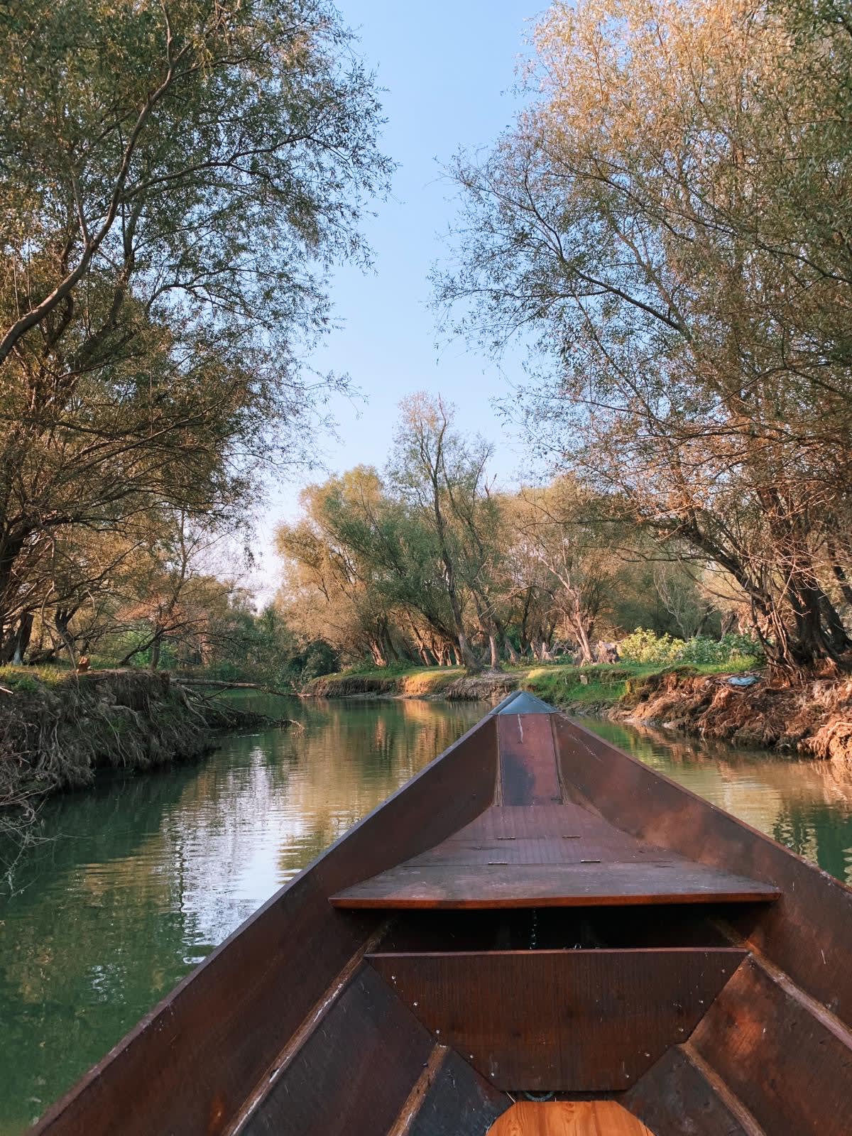 Traditional Boat Trip with Local Fisherman on Skadar Lake photo 4