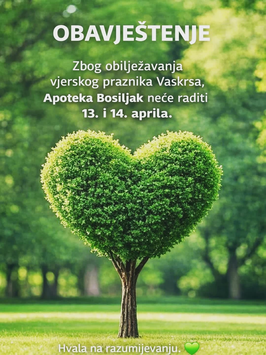 Apoteka Bosiljak photo 5