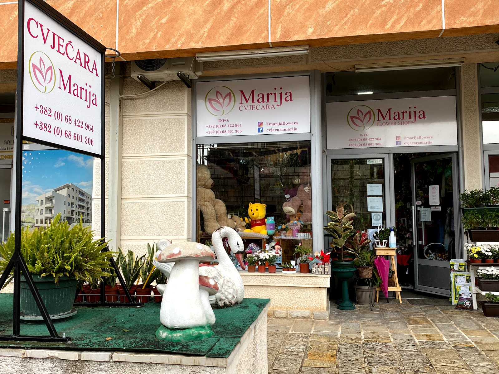 Cvjećara Marija photo 3