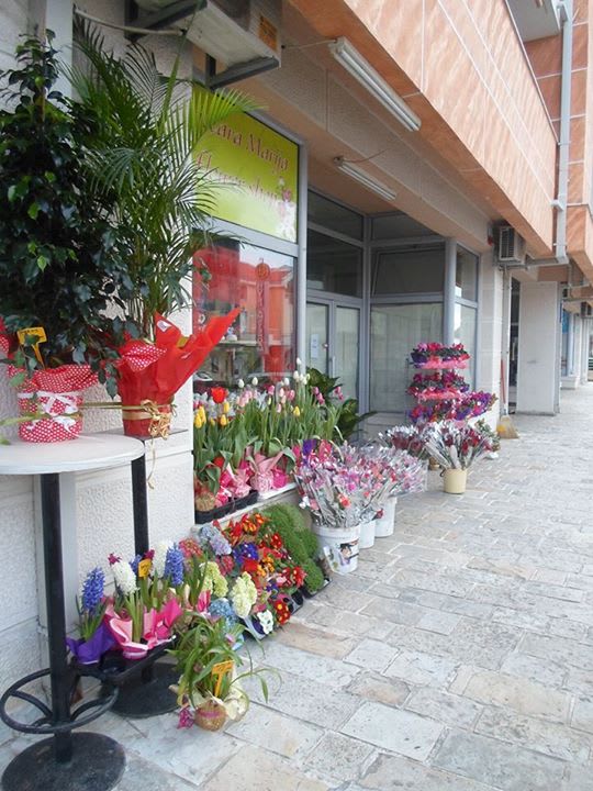 Cvjećara Marija photo 8