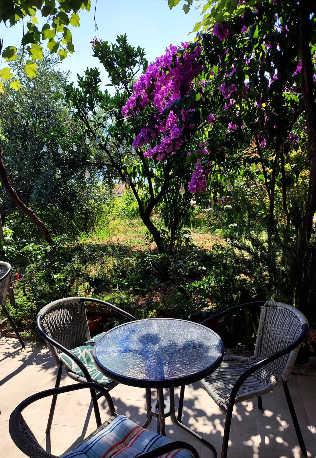 Guest House Budva photo 5