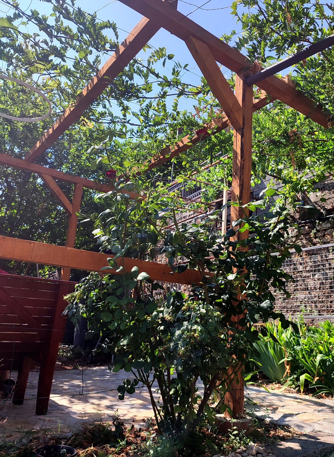 Guest House Budva photo 8