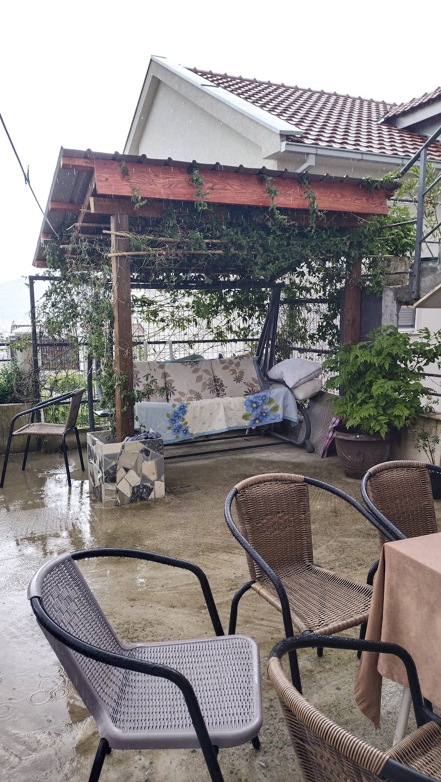 Georgijević Room photo 6