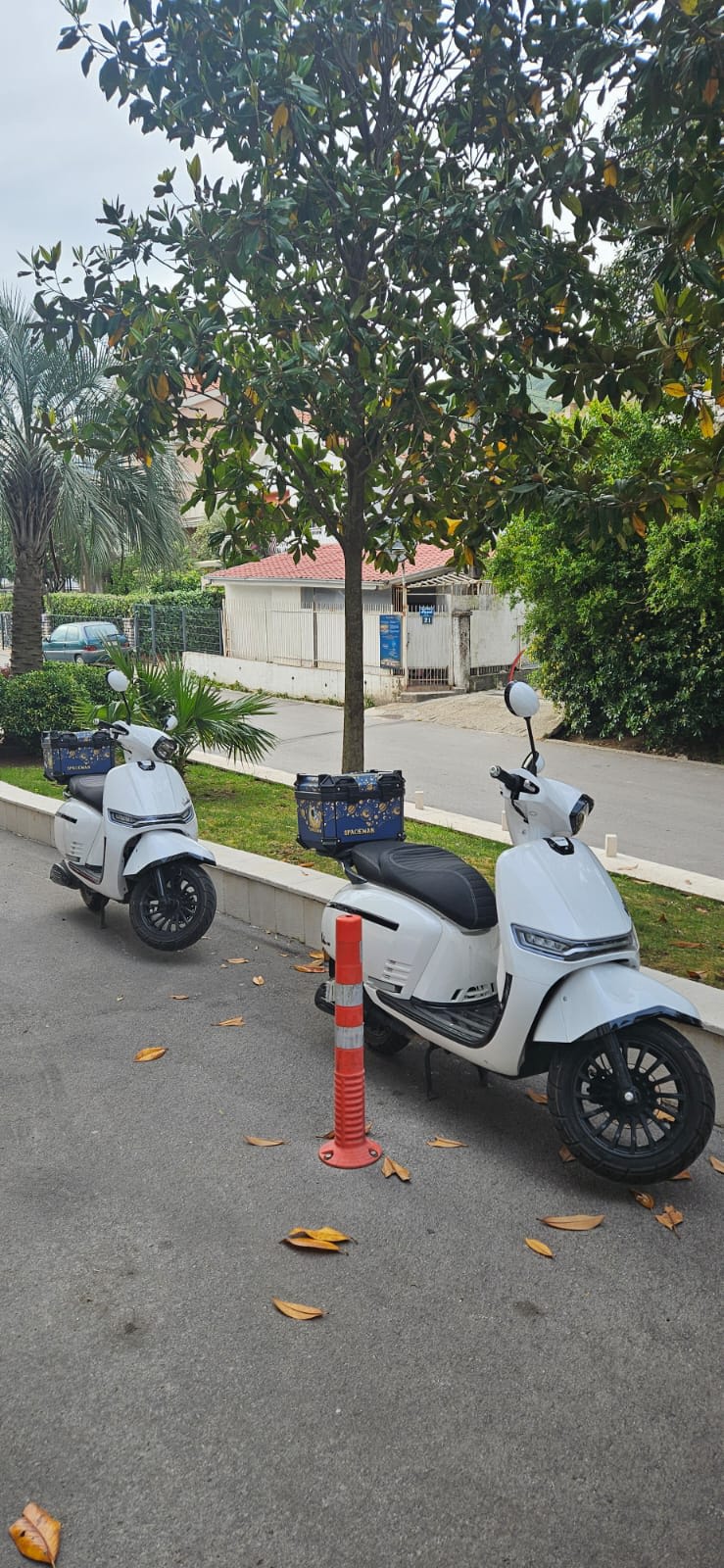 Kotor Scooter Rental photo 4