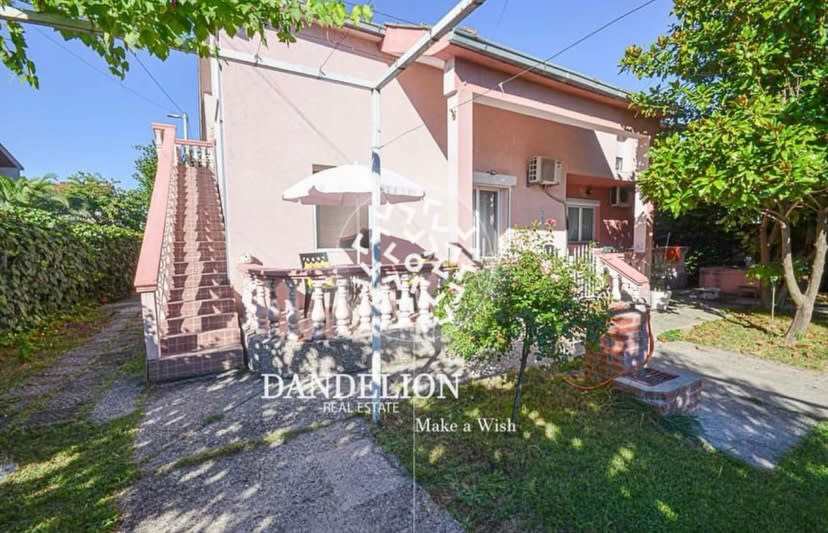 Dandelion Real Estate photo 8