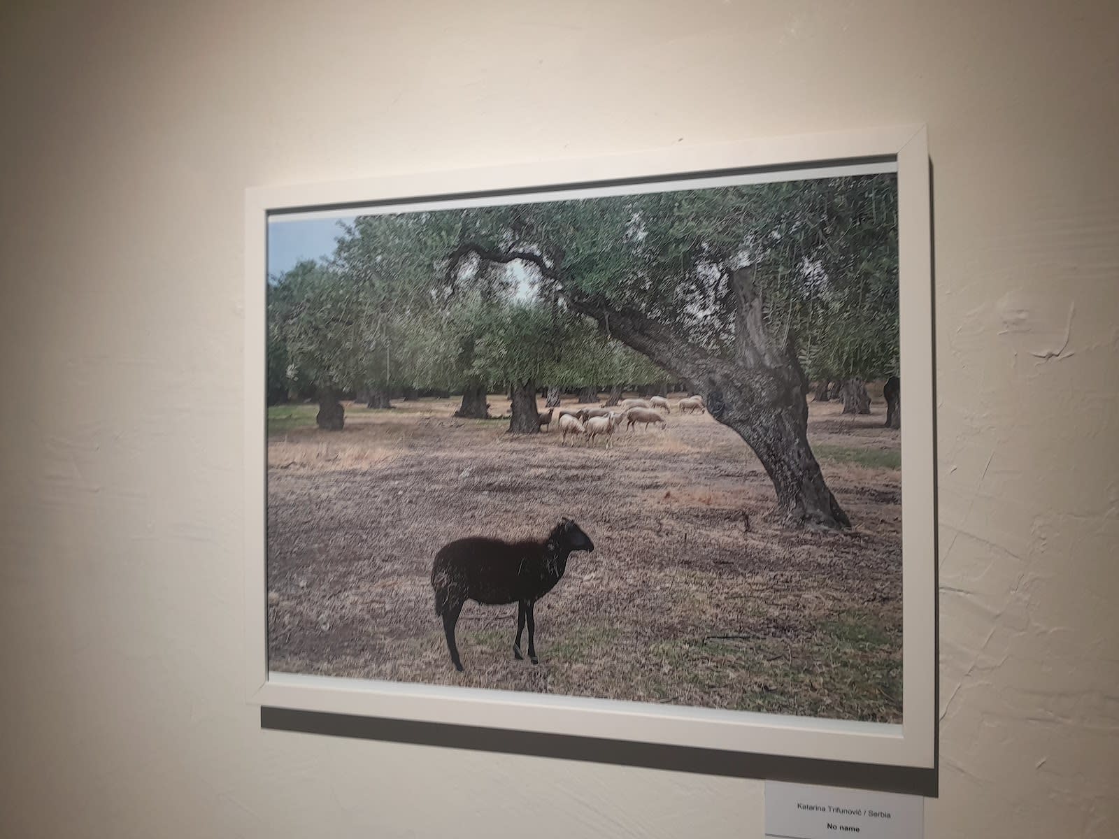 Galerija F64 photo 8