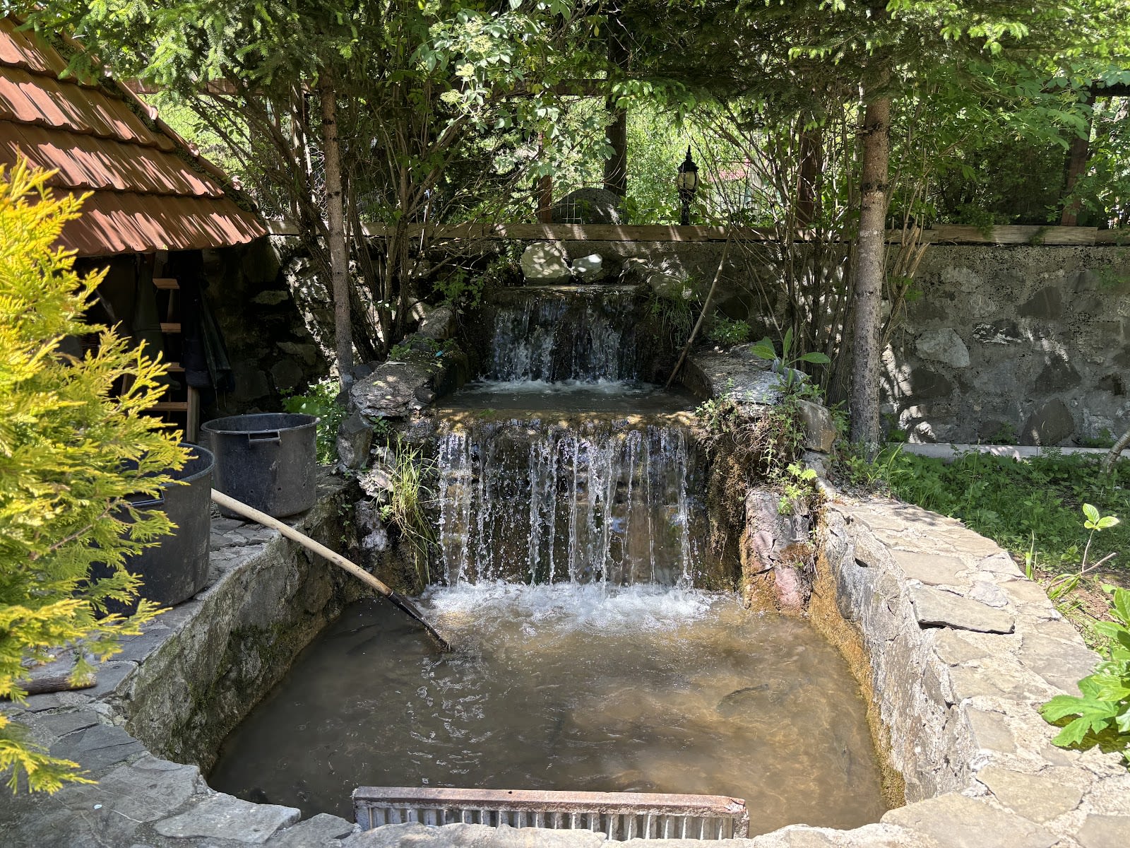 National Restaurant Ribnjak photo 4