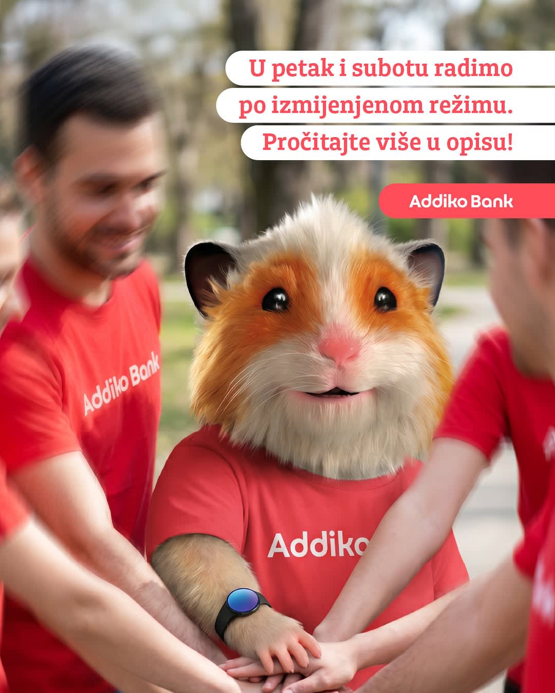 Addiko Bank AD Podgorica photo 2