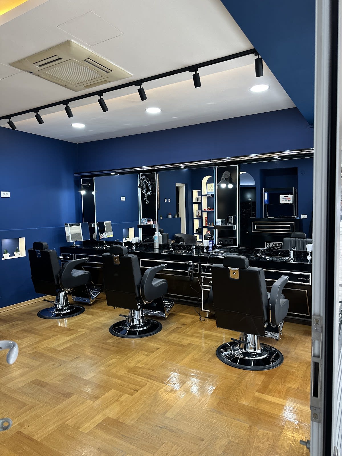 Silver Hair Studio photo 5