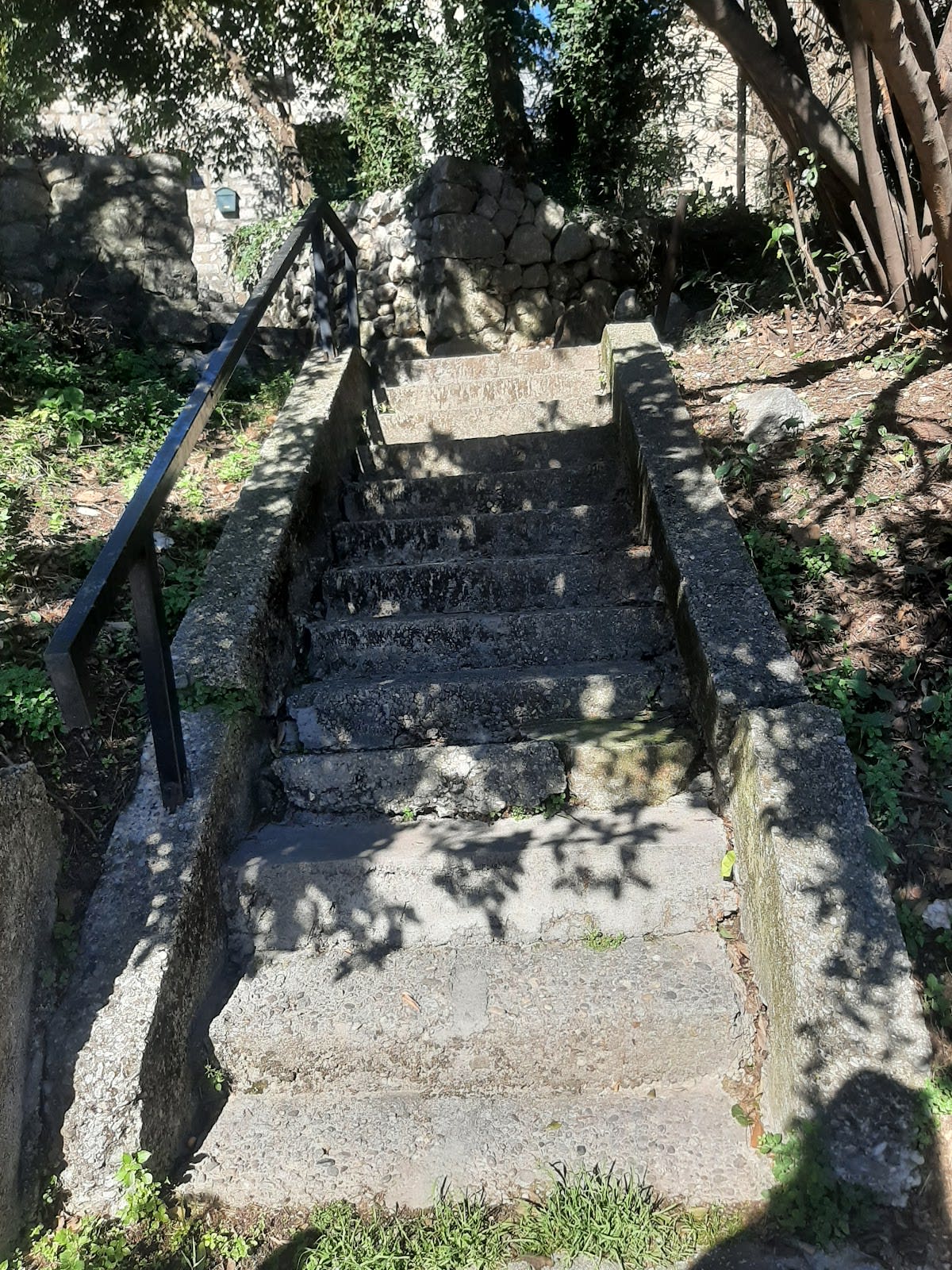 My World Chiropractic and Massage Kotor photo 8