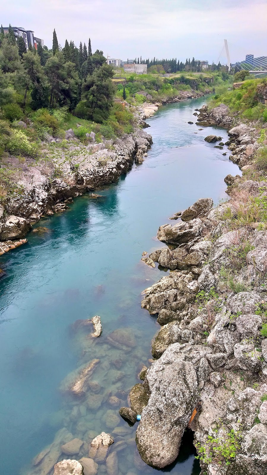 Most Vaka Đurovića photo 7