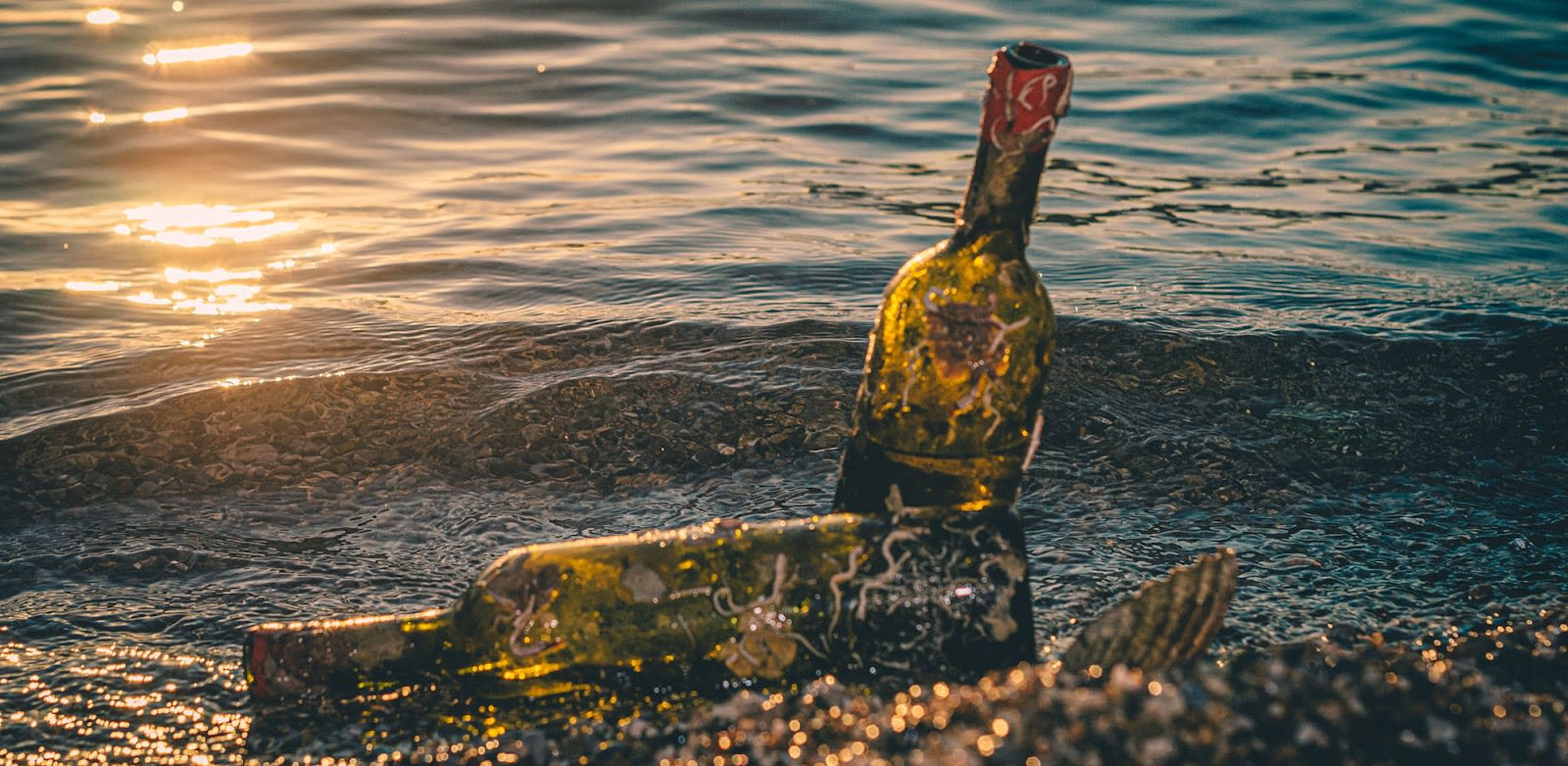 Underwater Wine Cellar Kraken Kotor photo 2