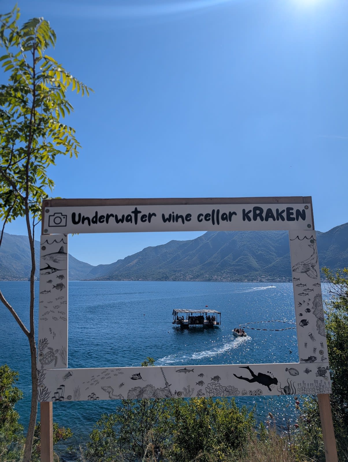 Underwater Wine Cellar Kraken Kotor photo 7