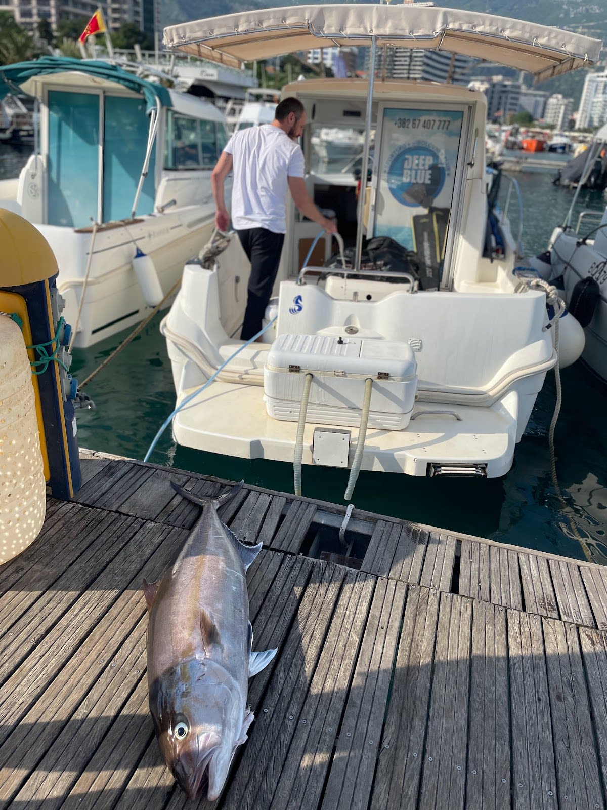Deep Blue Fishing photo 9