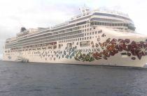 Norwegian Gem