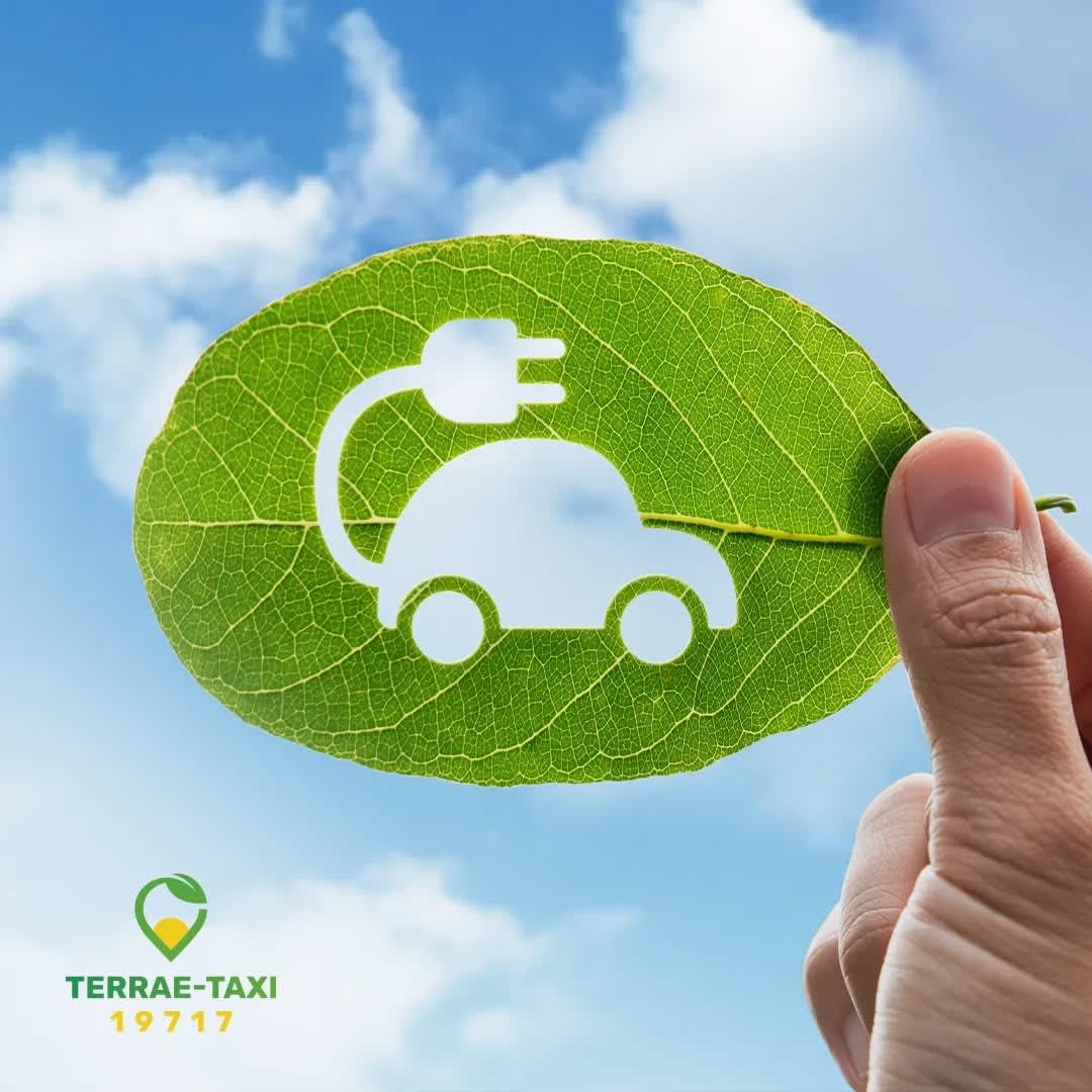 Terrae-Car Rent a Car Tivat Airport photo 8