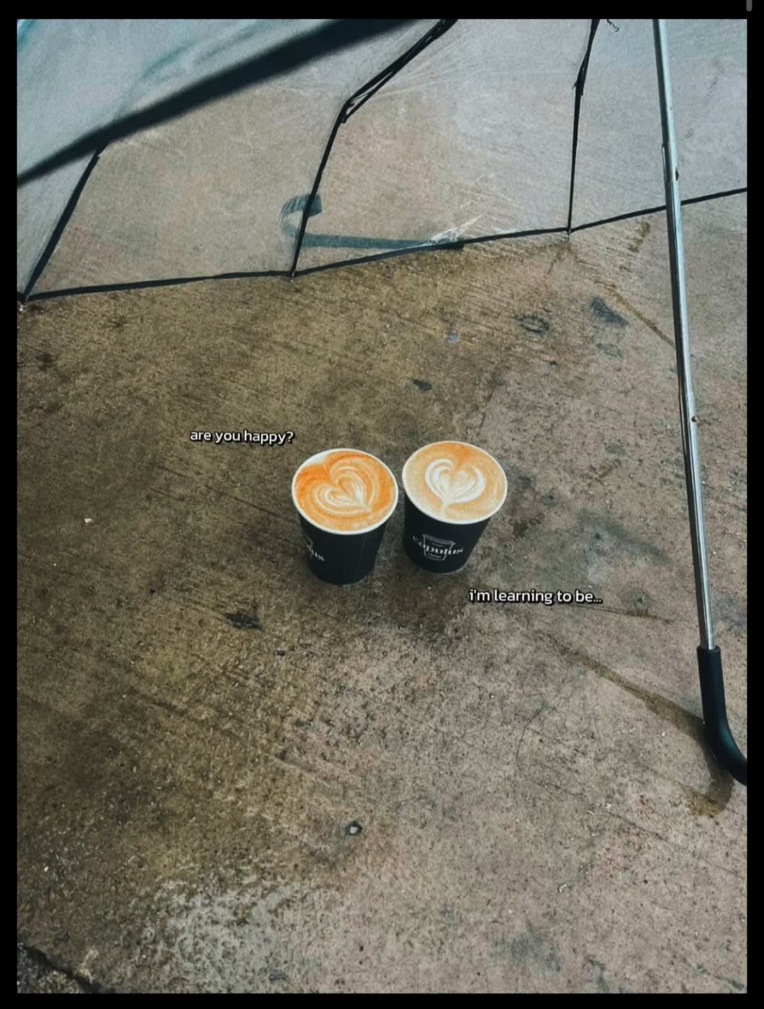 Capulus Coffee photo 3