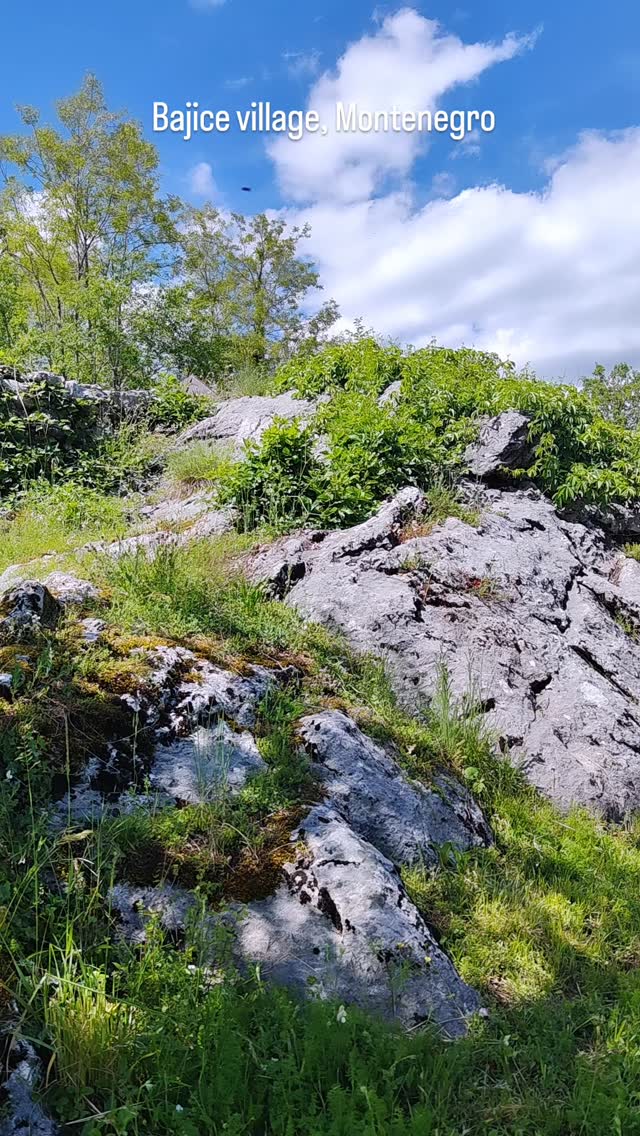 Montenegro Adventures DMC photo 8